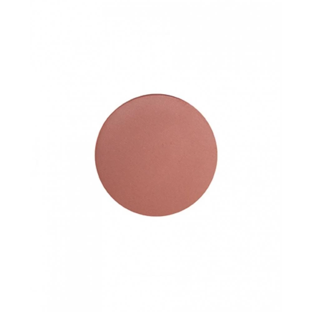 Fard à Joues Tomette ParisAx Professional 1 Fard à Joues Tomette ParisAx Professional